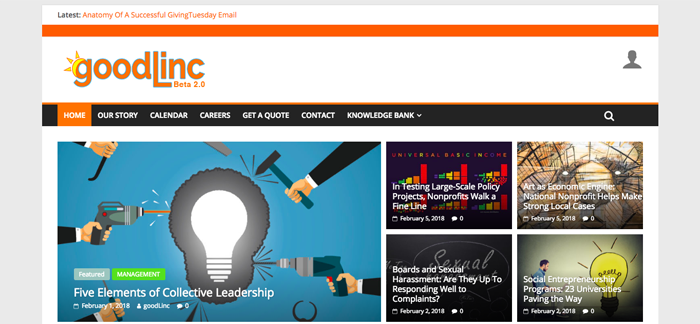 goodlinc_website1